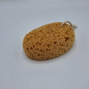 Natuurlijke spons